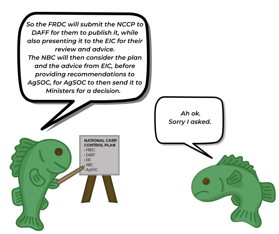Two cartoon fish have a conversation, one of whom points at a whiteboard which says "NATIONAL CARP CONTROL PLAN: FRDC, DAFF, EIC, NBC, AgSOC." The fish pointing at the whiteboard says, "So the FRDC will submit the NCP to DAFF for them to publish it, while also presenting to the EIC for them to review and advice. The NBC will then consider the plan and advice from EIC, before providing recommendations to AgSOC, for AgSOC to then send it to Ministers for a decision." The other fish replies, "Ah ok. Sorry I asked."
